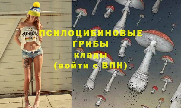 jwh Аркадак
