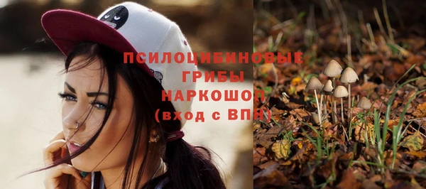 jwh Аркадак