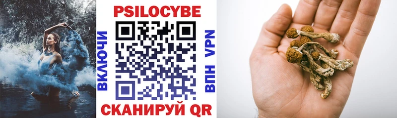 где можно купить наркотик  Партизанск  сайты даркнета как зайти  Псилоцибиновые грибы мицелий 